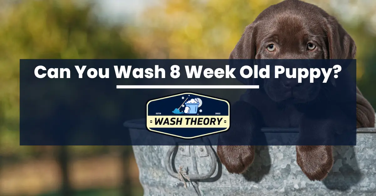 can you wash 8 week old puppy