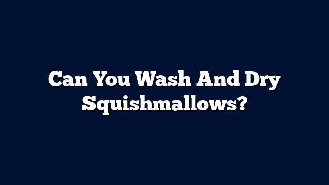 Can You Wash And Dry Squishmallows?