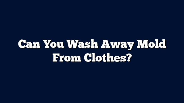 Can You Wash Away Mold From Clothes?