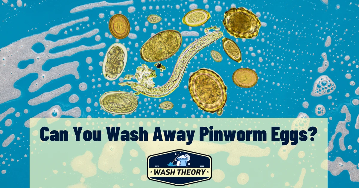 Can You Wash Away Pinworm Eggs