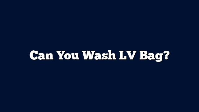 Can You Wash LV Bag?