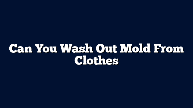 Can You Wash Out Mold From Clothes