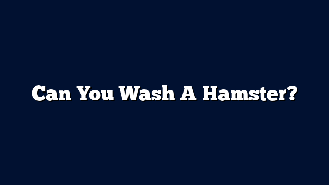 Can You Wash A Hamster?