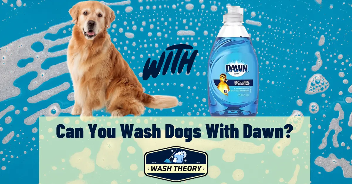 Can You Wash Dogs With Dawn